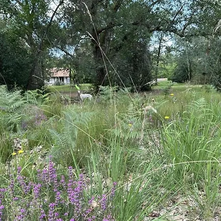 L'ecogite De La Preillouse Vakantiehuis Sabres